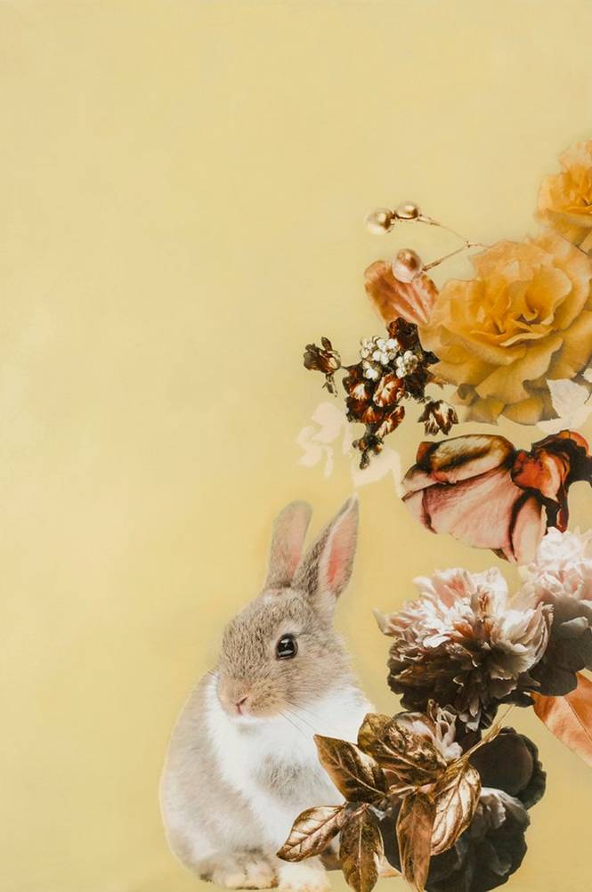 Poster Pet Couture 4