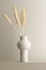 Indian corn, 3/pakk. 0020