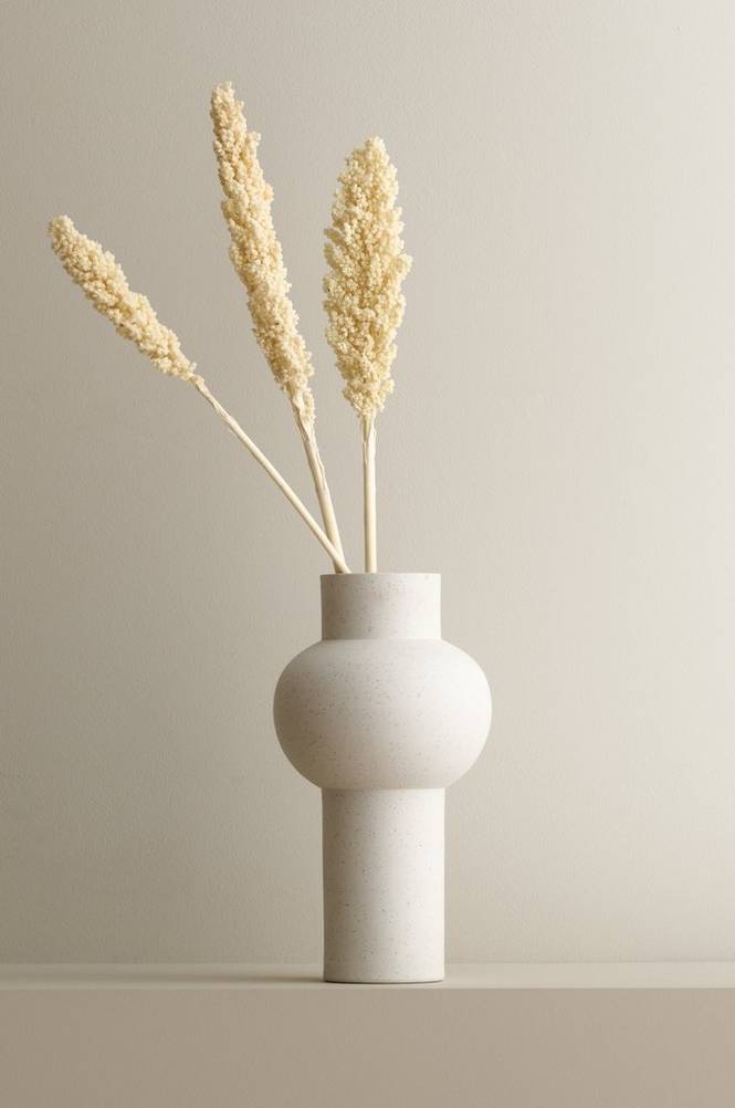 Indian corn 3 pack White