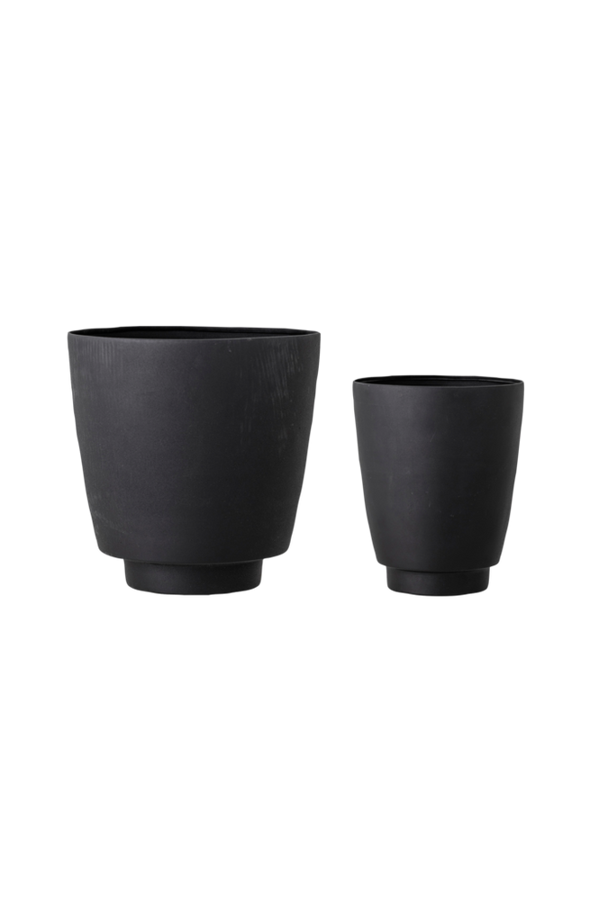 Blomkruka Ilion, set om 2