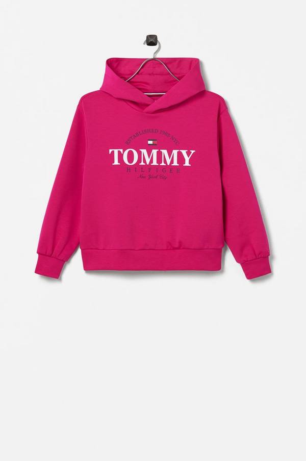 Tommy hilfiger hot sale hoodie 164