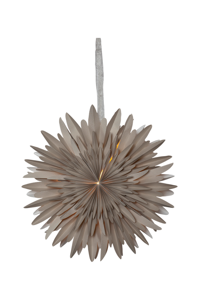 Papirstjerne Winter