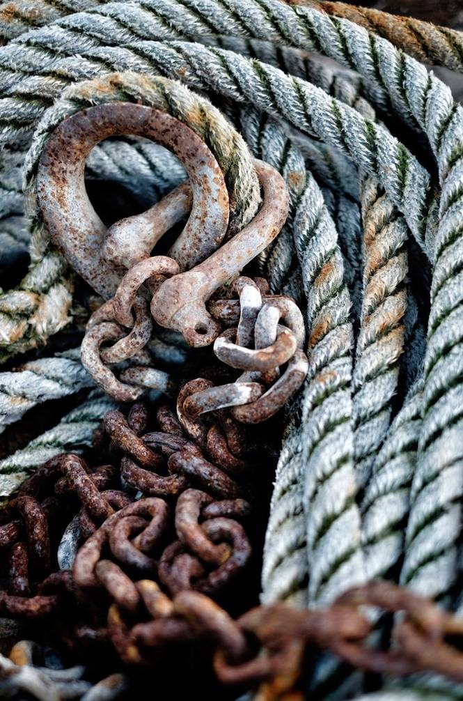 Poster Blue rope