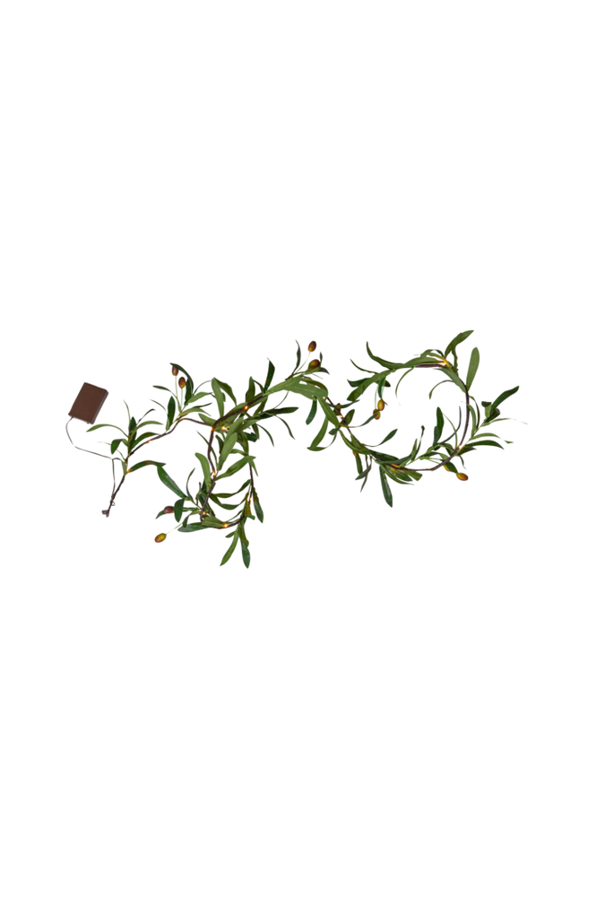 Köynnös Olivec 180 cm