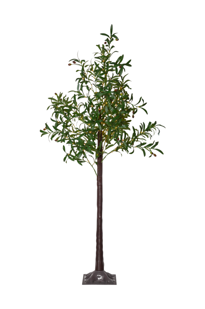 Dekortre Olivec 180 cm