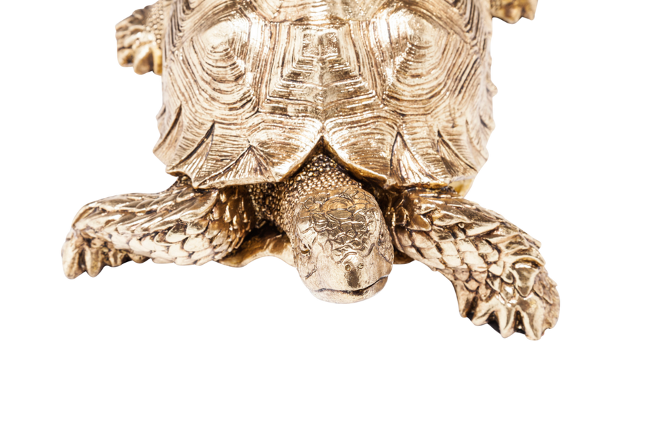 KARE Design Dekoration Turtle, guld från KARE Design, bild 2