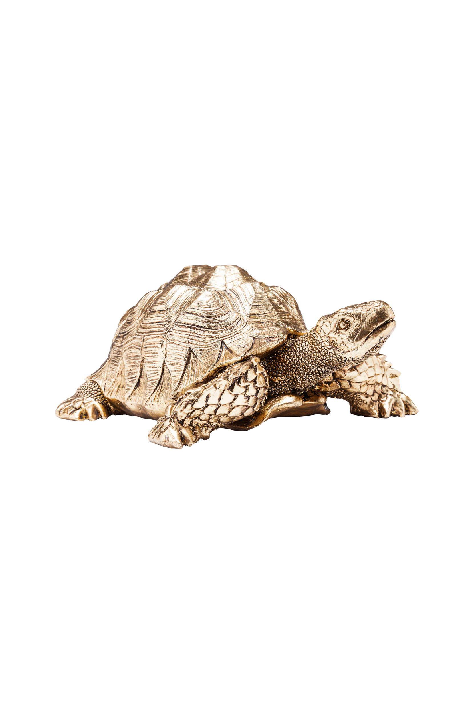 KARE Design - Dekoration Turtle - Guld