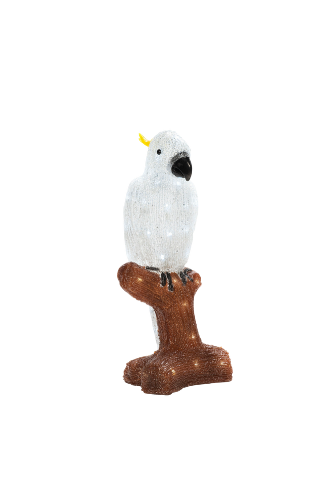 Papegoja LED höjd 47 cm