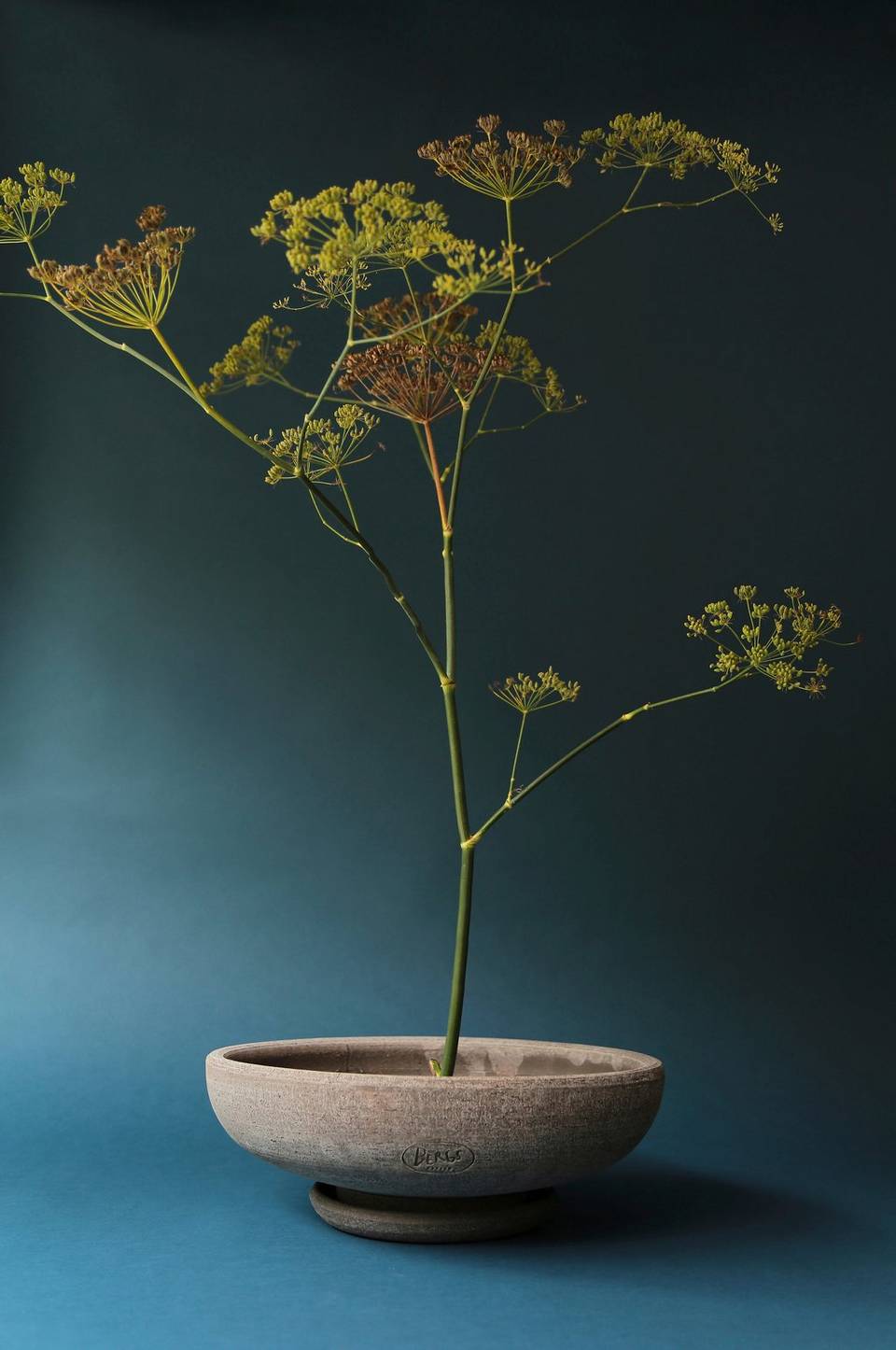 Bergs Potter Kruka Ada Raw Ø 35 cm, grå från Bergs Potter, bild 2