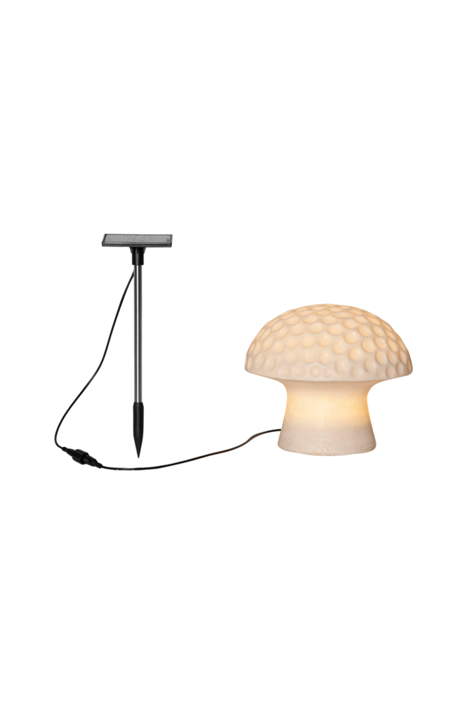 Aurinkokennon koriste Sandy 15 cm