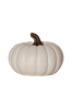 Ulkokoriste Sandy Pumpkin 15 cm Valkoinen