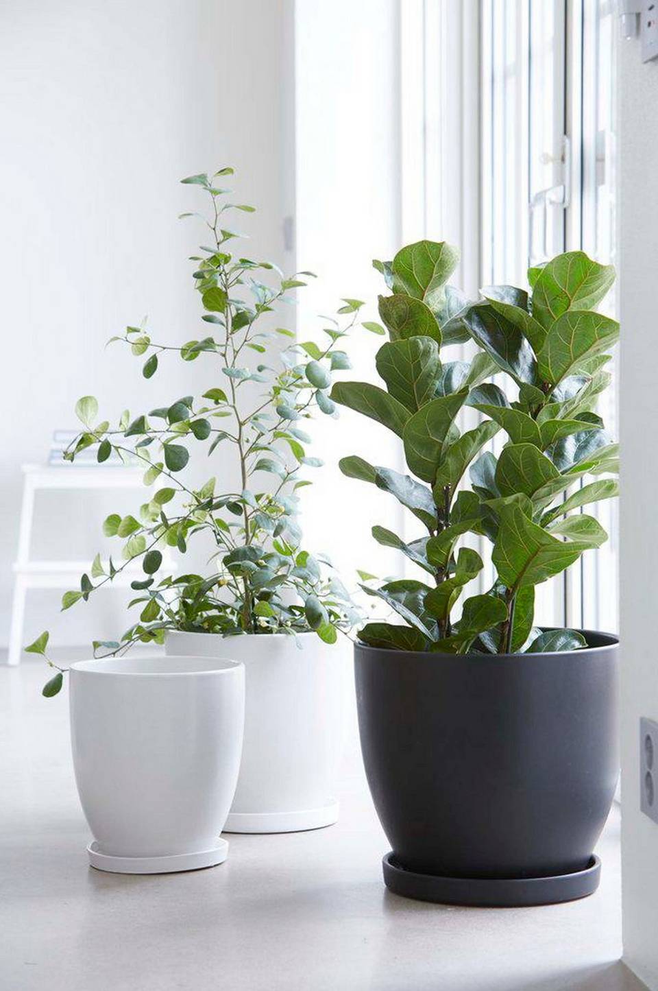 Wikholm Form Sophia Golvkruka 3-pack, vit från Wikholm Form, bild 2