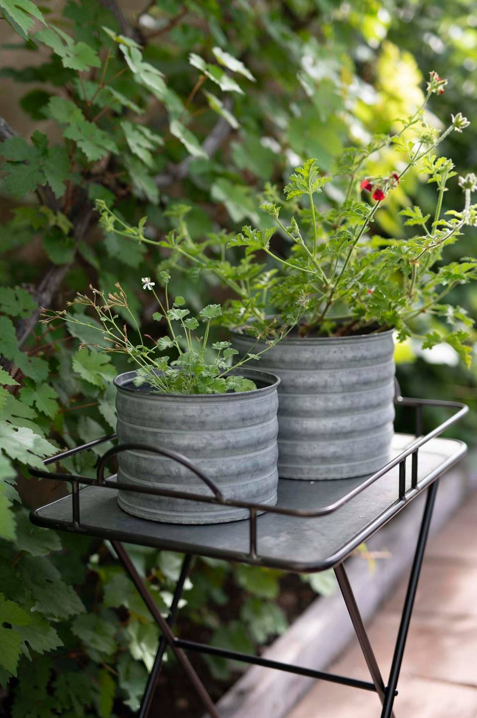 Wikholm Form Melanie Pot 3-pack, silver från Wikholm Form, bild 2