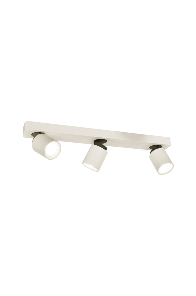 Kattovalaisin Rollo
