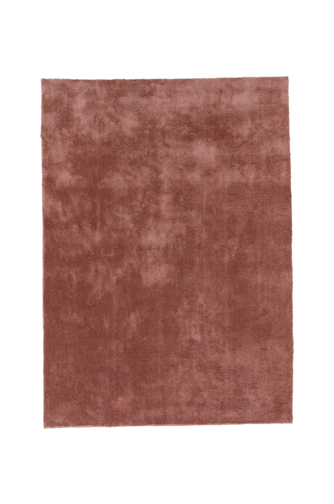 Undra Carpet