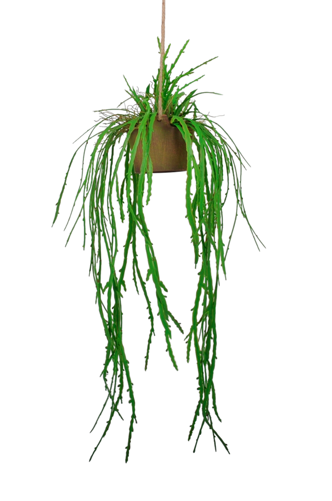 Hängplanta Verde med kruka