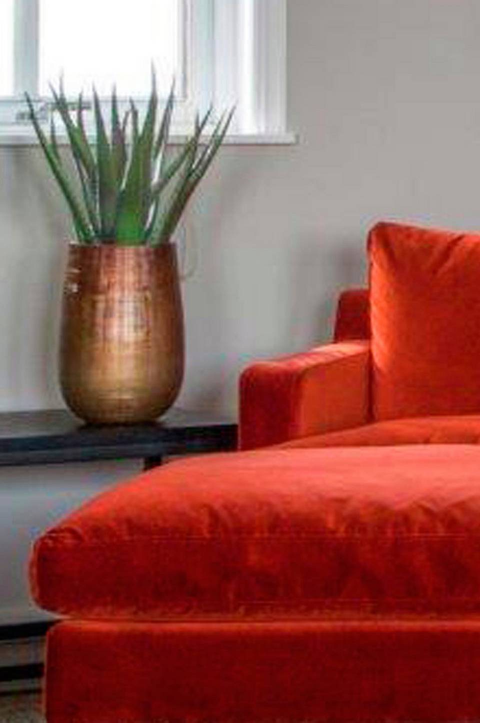 Nordic Furniture Group Aloveraplanta H 50 cm, grön från Nordic Furniture Group, bild 2