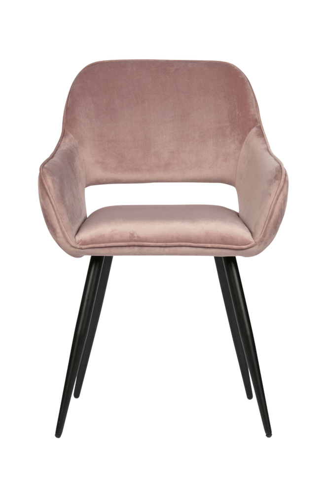 Matstol Jelle, 2-pack
