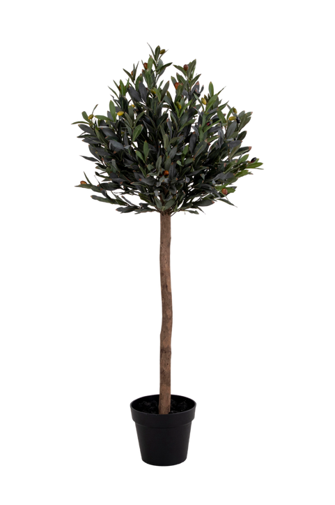 Krukväxt Olive, konstgjord, H120 cm