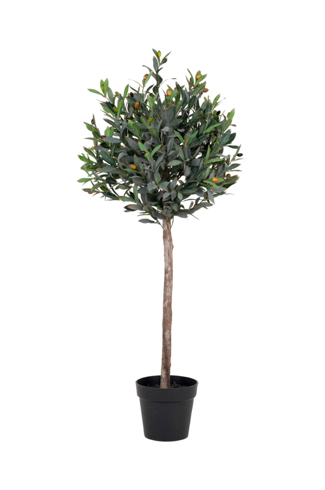 Potteplante Olive, kunstig, H120 cm