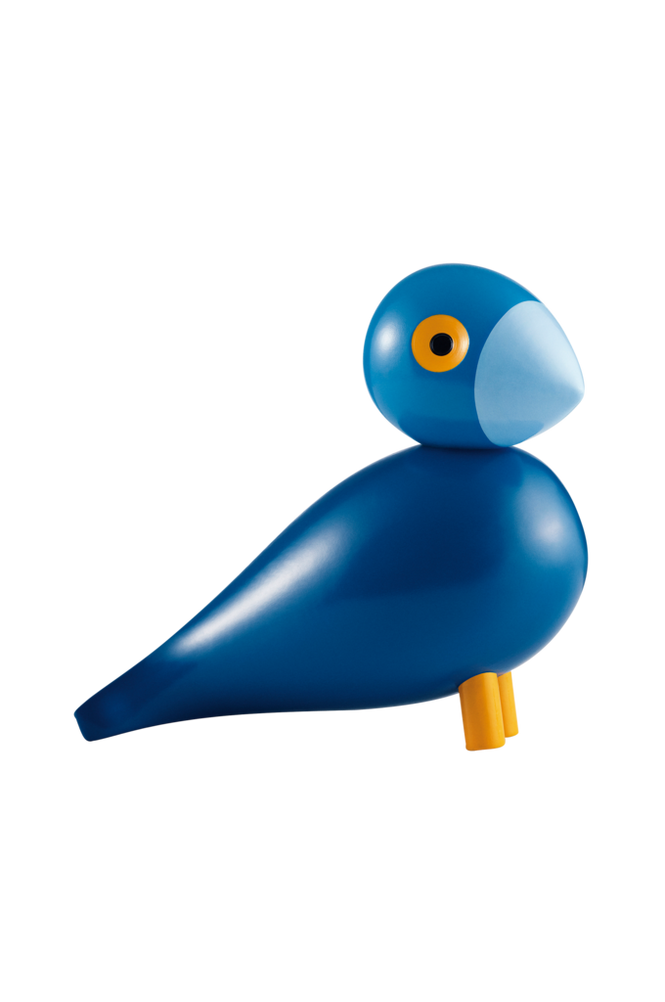 Sångfågel Kay