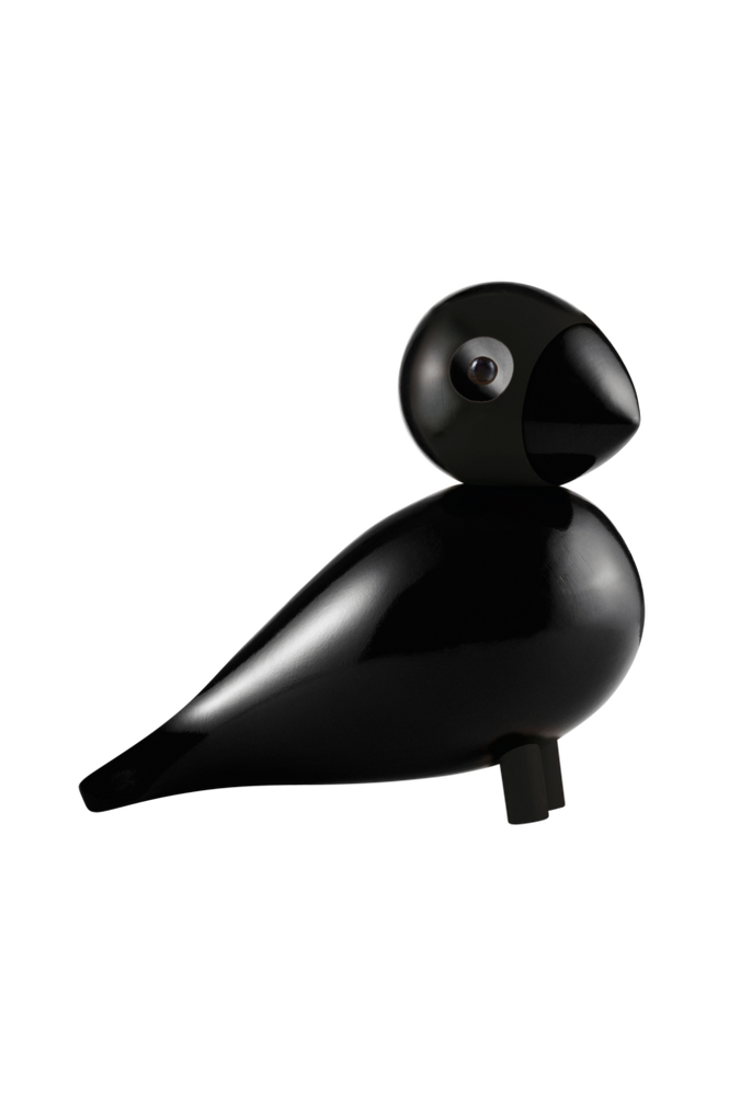 Sångfågel Ravn