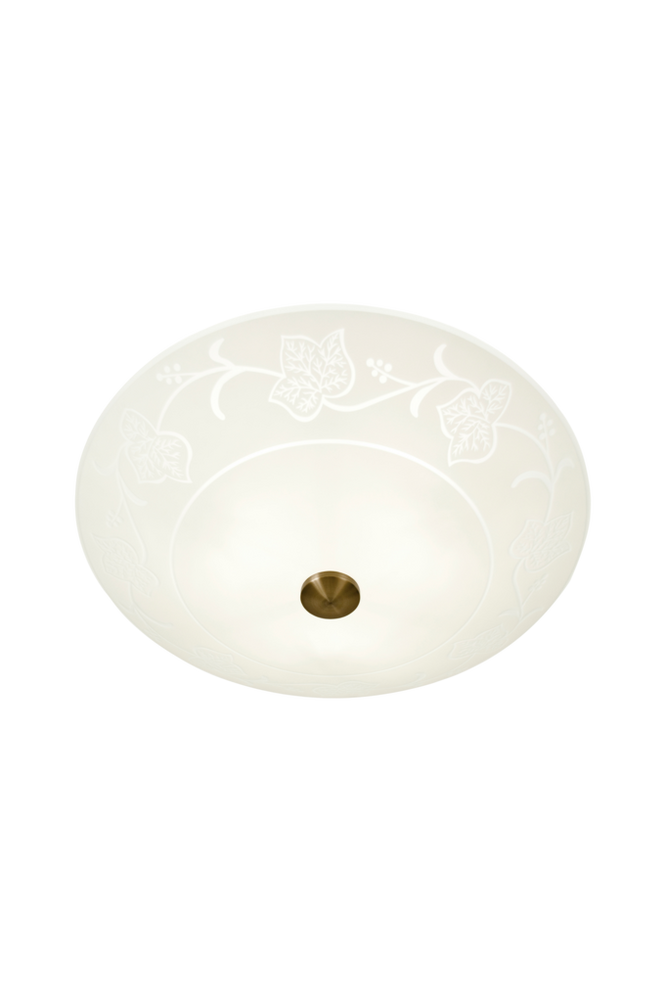 Plafond ANETA VINRANKA