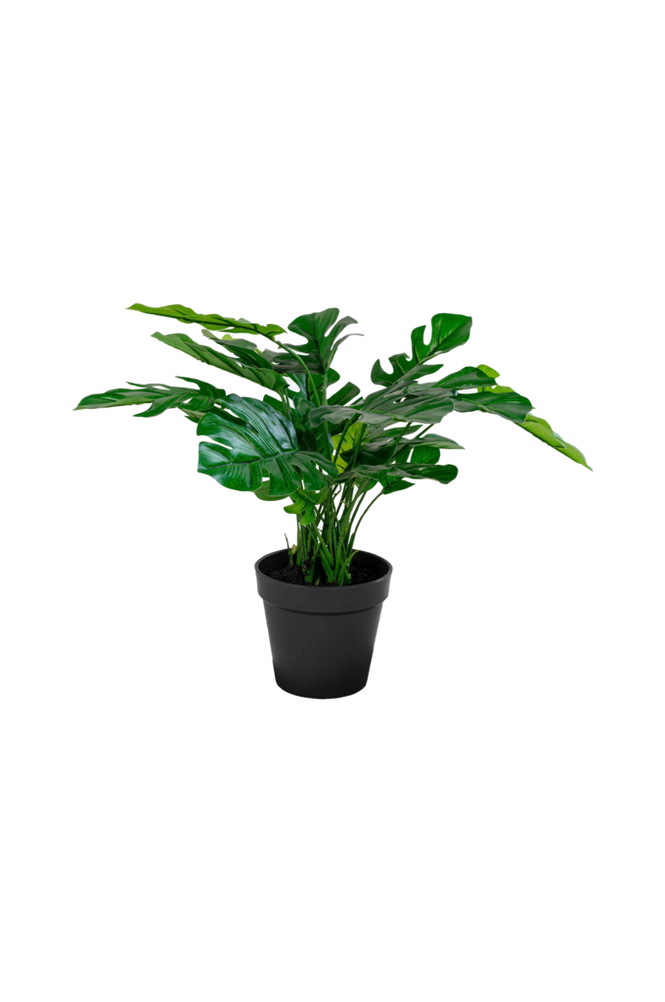 Kunstig plante Monstera. Plante av PE-plast. Ø 40 cm.