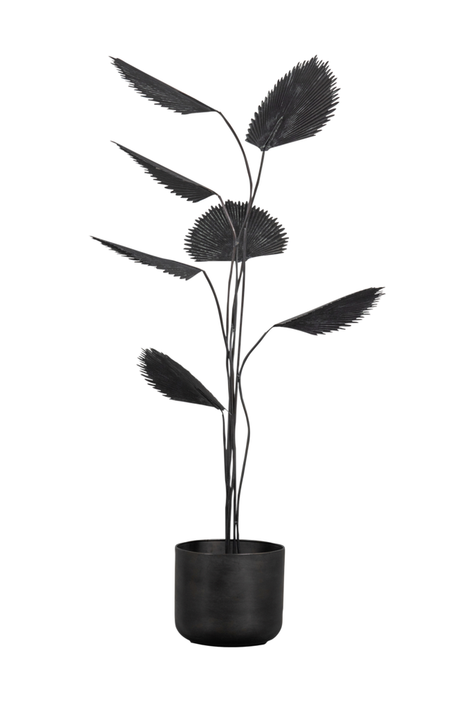 Plante Forever