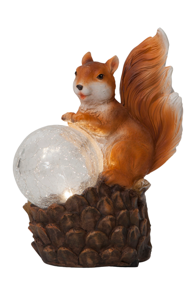 Aurinkokennokoriste Squirrel