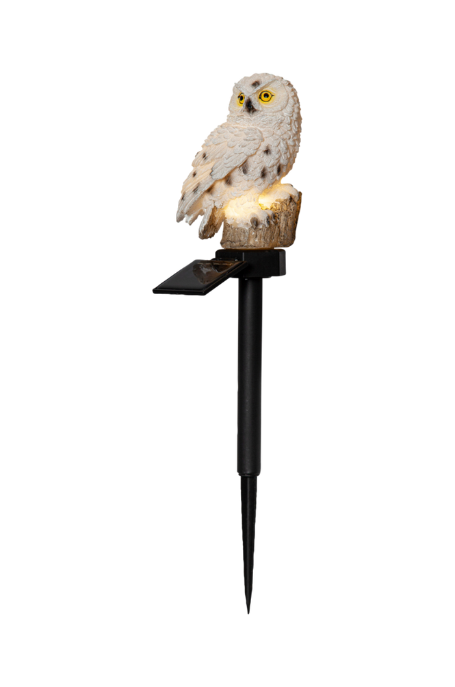 Aurinkokennokoriste Owl