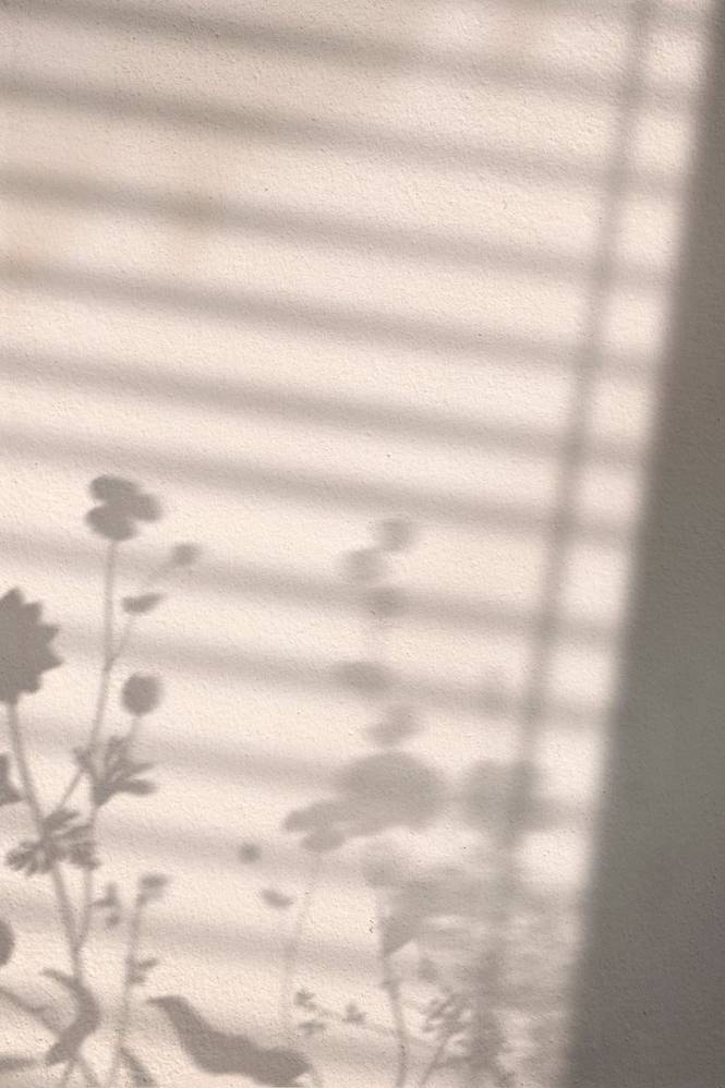 Poster Flower shadow