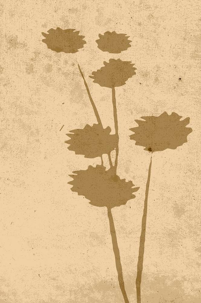 Poster Flower art