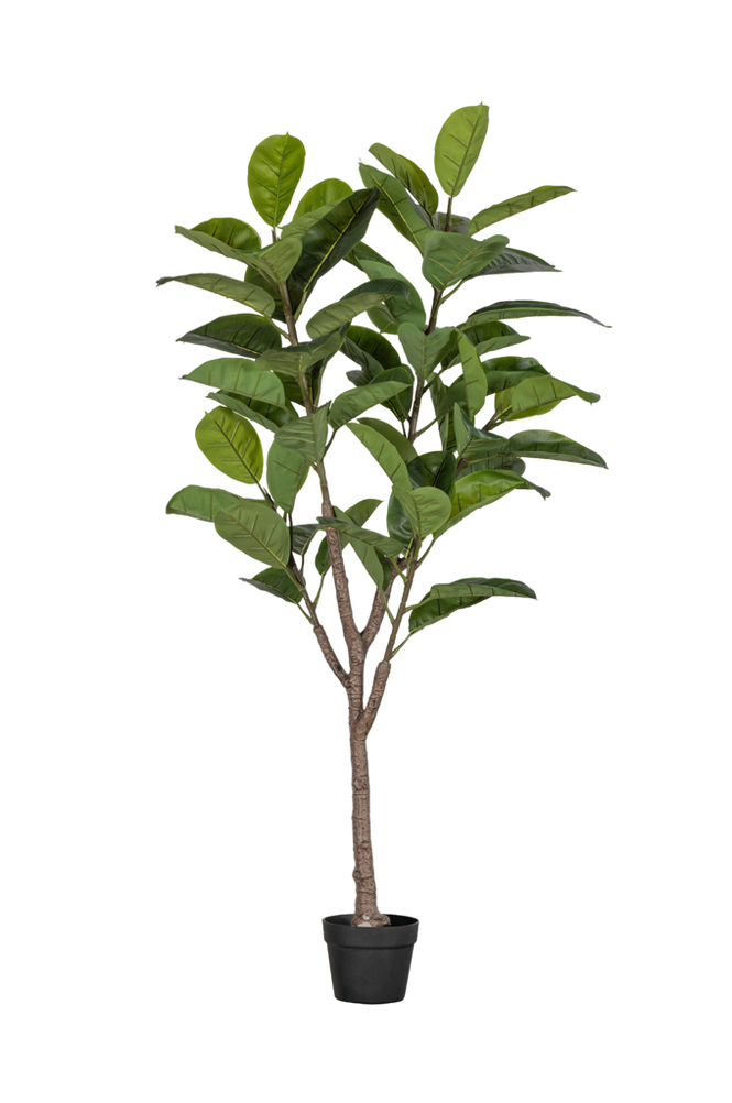 Kunstig plante Rubberboom