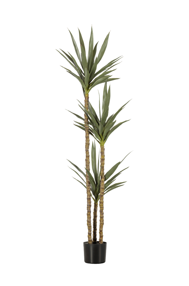 Kunstig plante Yucca