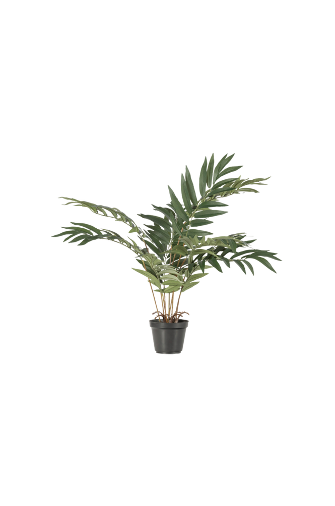 Kunstig plante Kwai