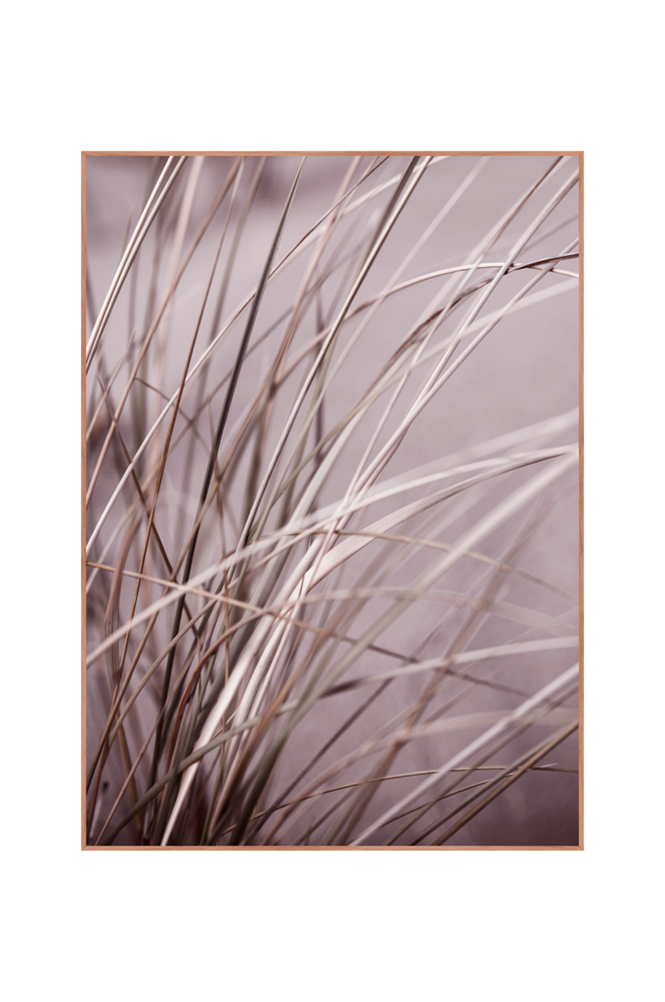 Bilde Spec. Mellow grasses 1