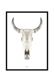 Taulu Cow Skull Beige Sisustus Homeroom