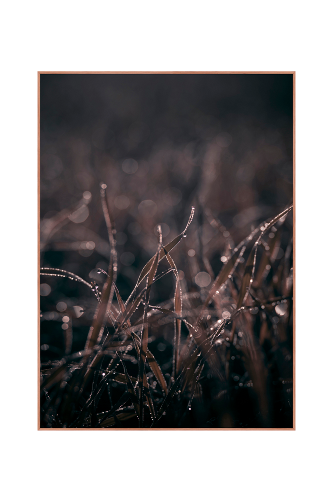 Tavla Spec. Mellow grasses 5