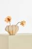 Ruth vase Beige blank