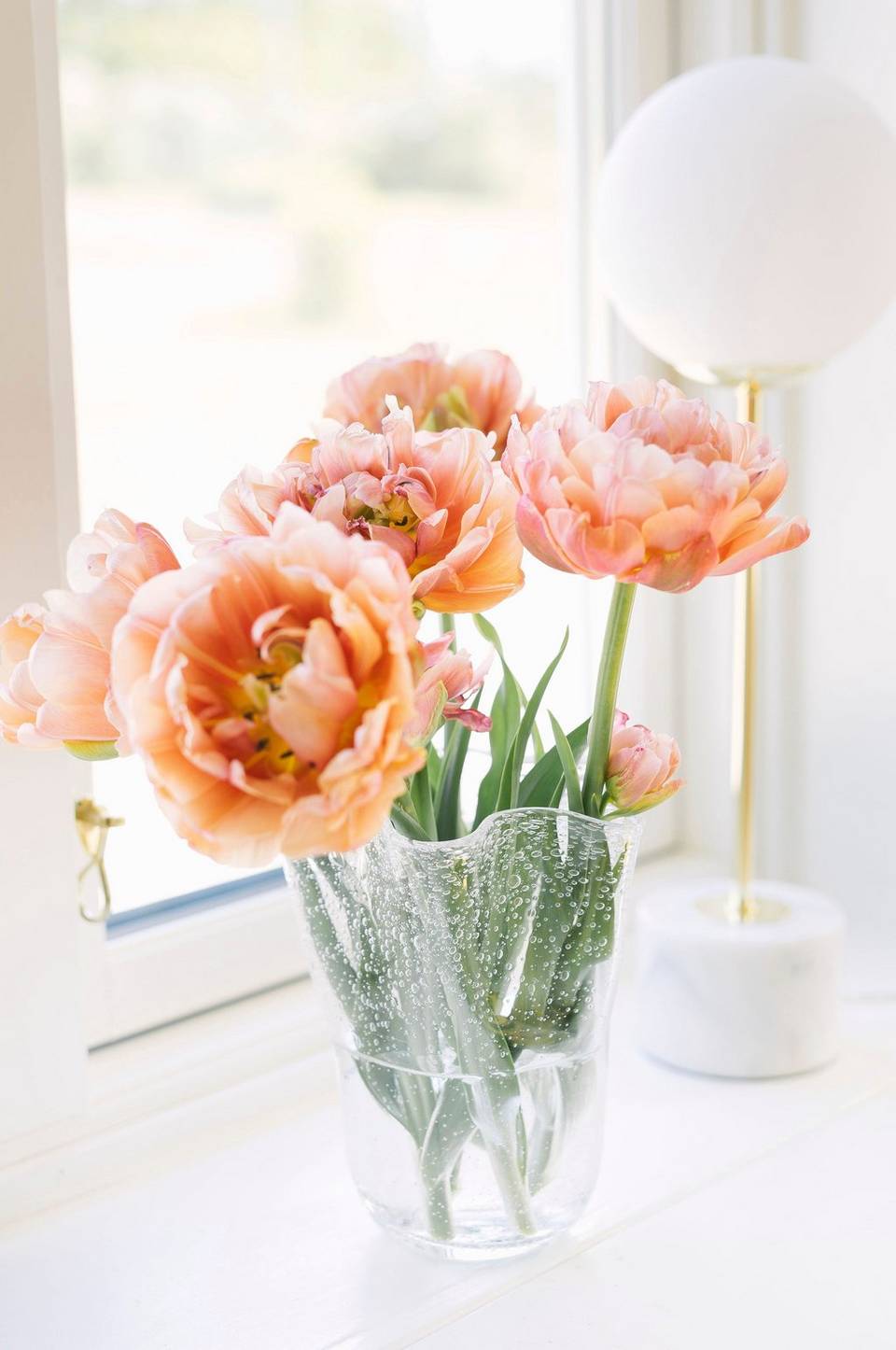 Dorre Tulpanvas Tulip, transparent från Dorre, bild 2