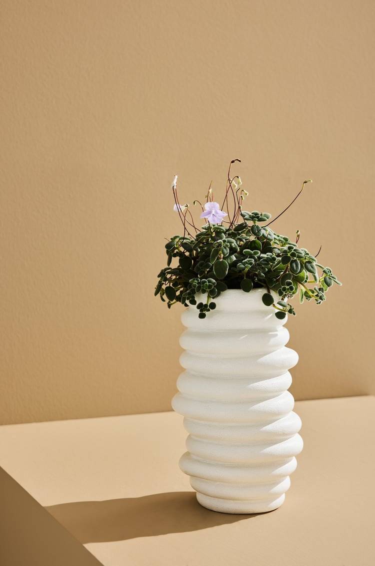 beth vase hvid