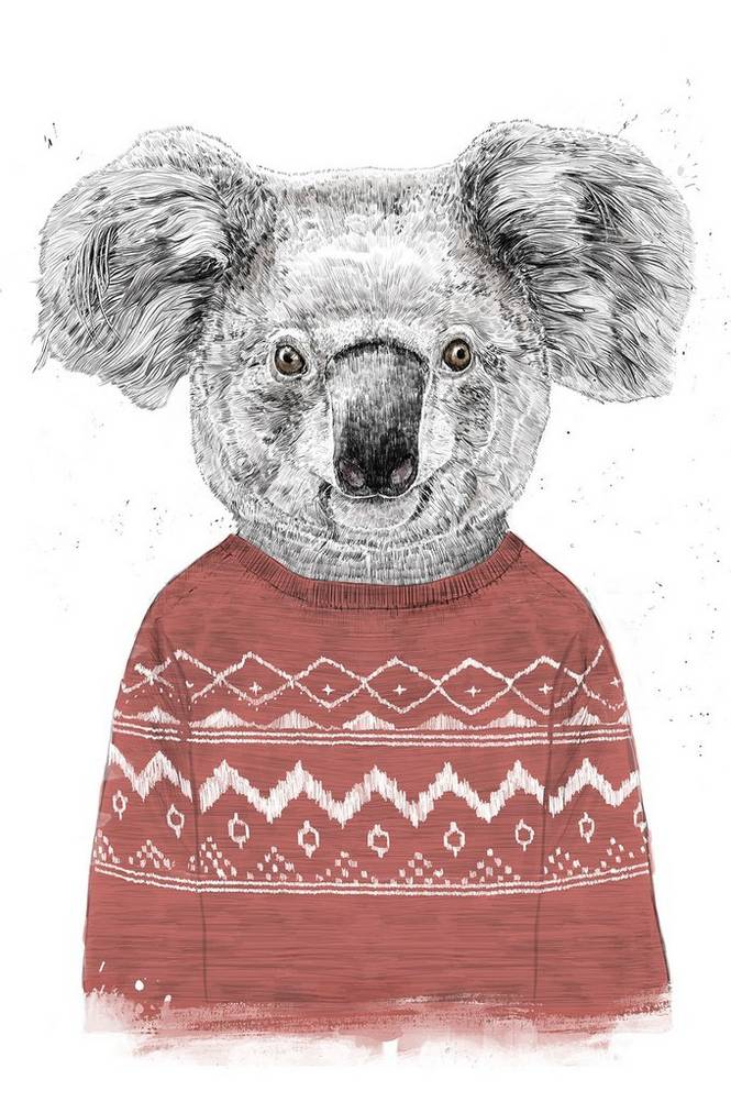 Poster Winter Koala (Red)