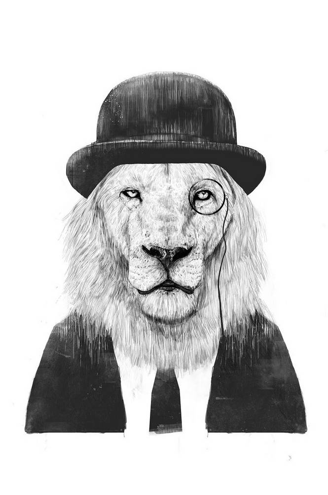 Poster Sir Lion