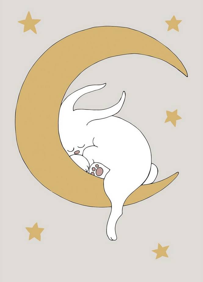 Poster The Rabbit