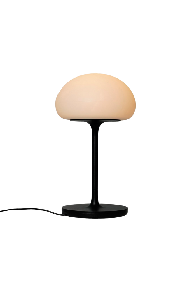 Genopladelig Lampe Sponge On A-stick