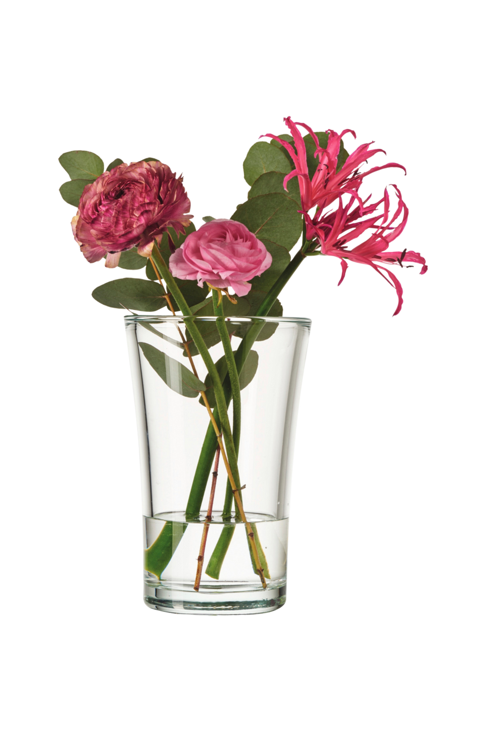 Leonardo Vas Bloom 22 cm, transparent från Leonardo, bild 2
