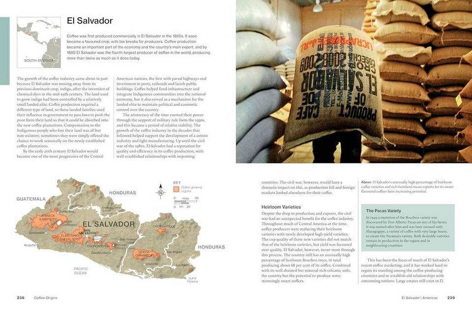 New Mags Coffee Table Book The World Atlas Of Coffee 3Rd Edition, brun från New Mags, bild 2