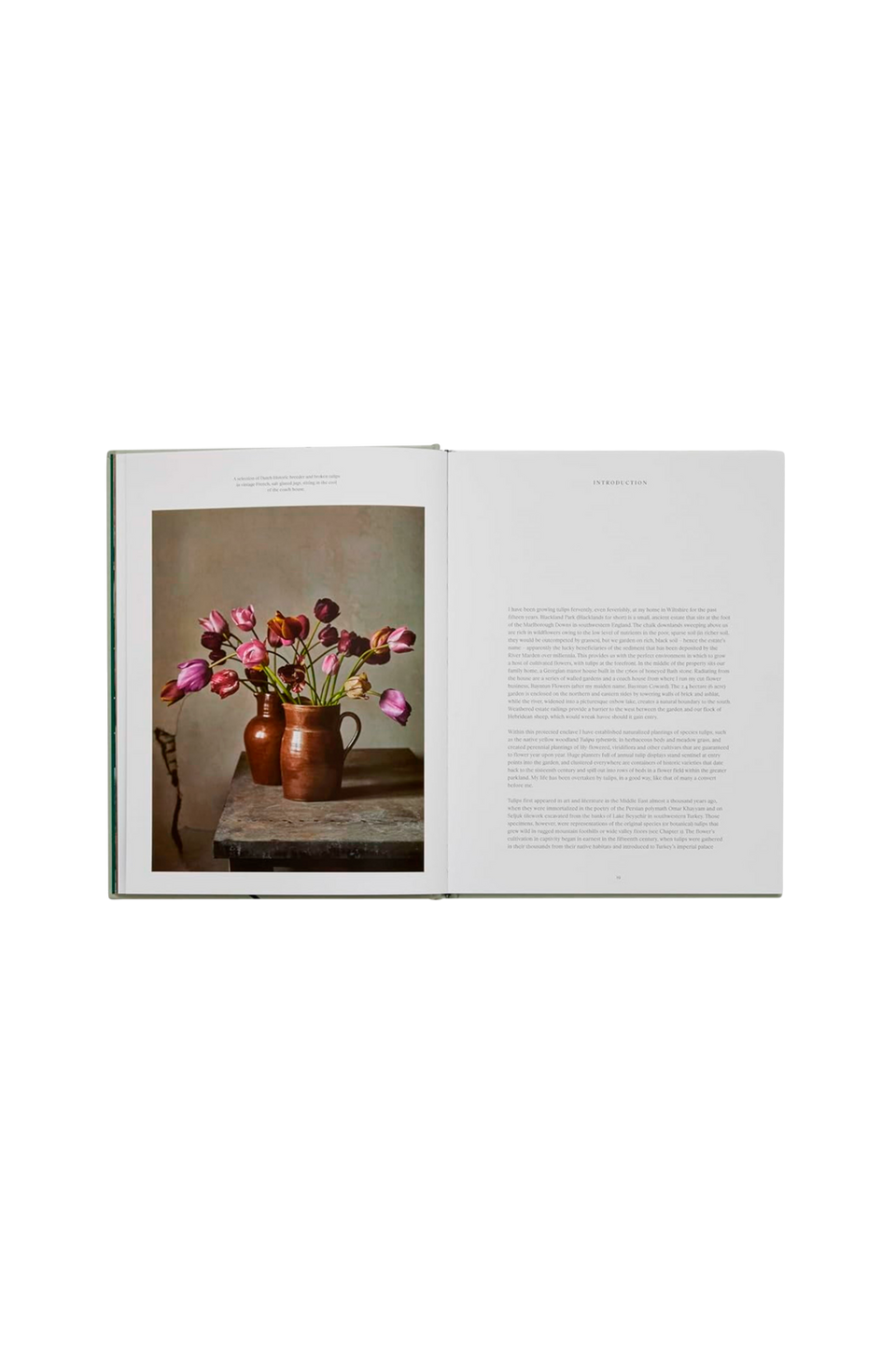 New Mags Coffee Table Book The Tulip Garden, grön från New Mags, bild 2