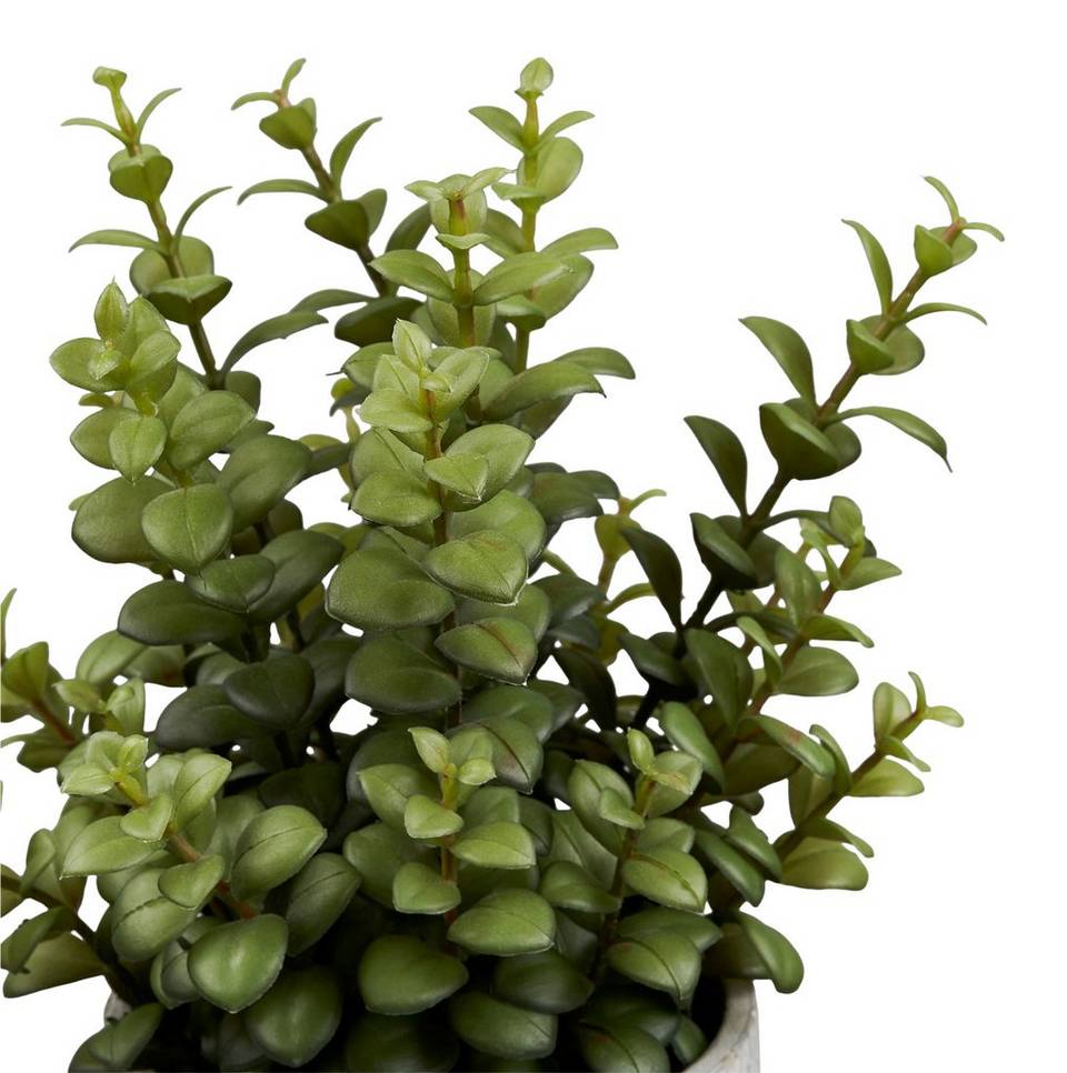 House Nordic Konstgjord växt Succulent, grön från House Nordic, bild 5